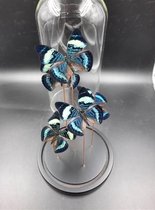 Opgezette Vlinders in Stolp - Vlinder In Glazen Stolp - Vlinderstolp Glas - 30 cm