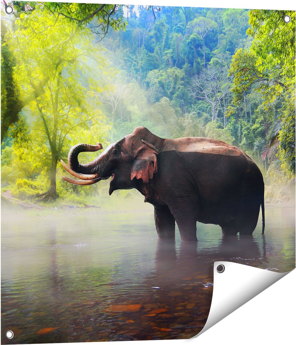Gards Tuinposter Olifant in het Water - 70x70 cm - Tuindoek - Tuindecoratie - Wanddecoratie buiten - Tuinschilderij Multikleur