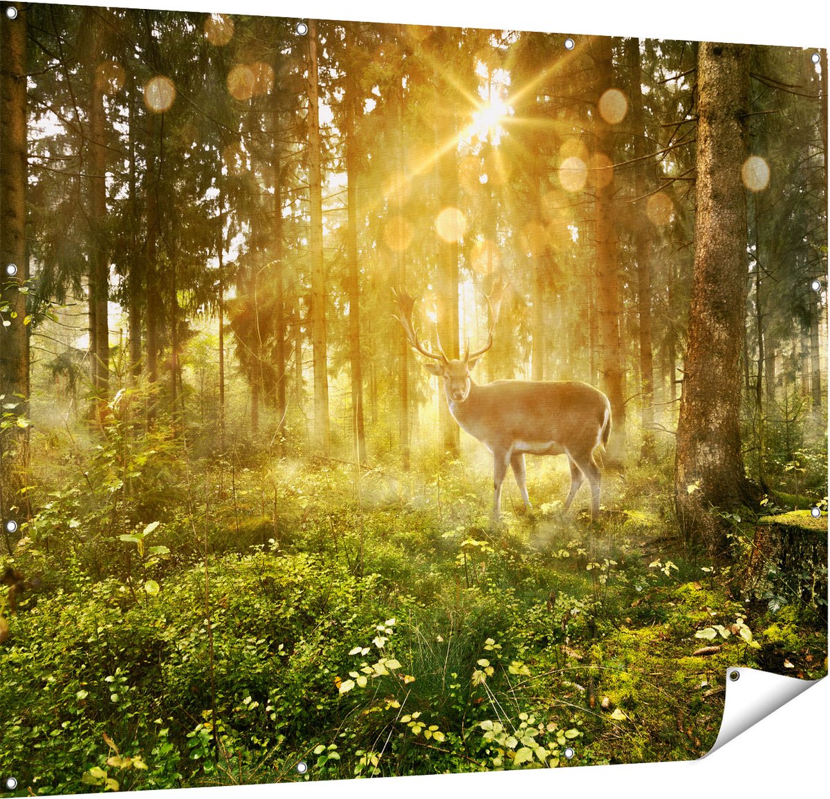 Gards Tuinposter Hert in Bos met Zon - 150x120 cm - Tuindoek - Tuindecoratie - Wanddecoratie buiten - Tuinschilderij Multikleur