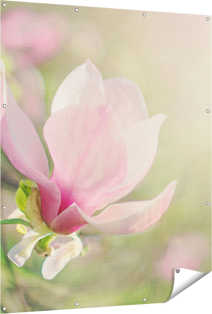 Gards Tuinposter Roze Magnolia Bloem - 120x150 cm - Tuindoek - Tuindecoratie - Wanddecoratie buiten - Tuinschilderij Multikleur