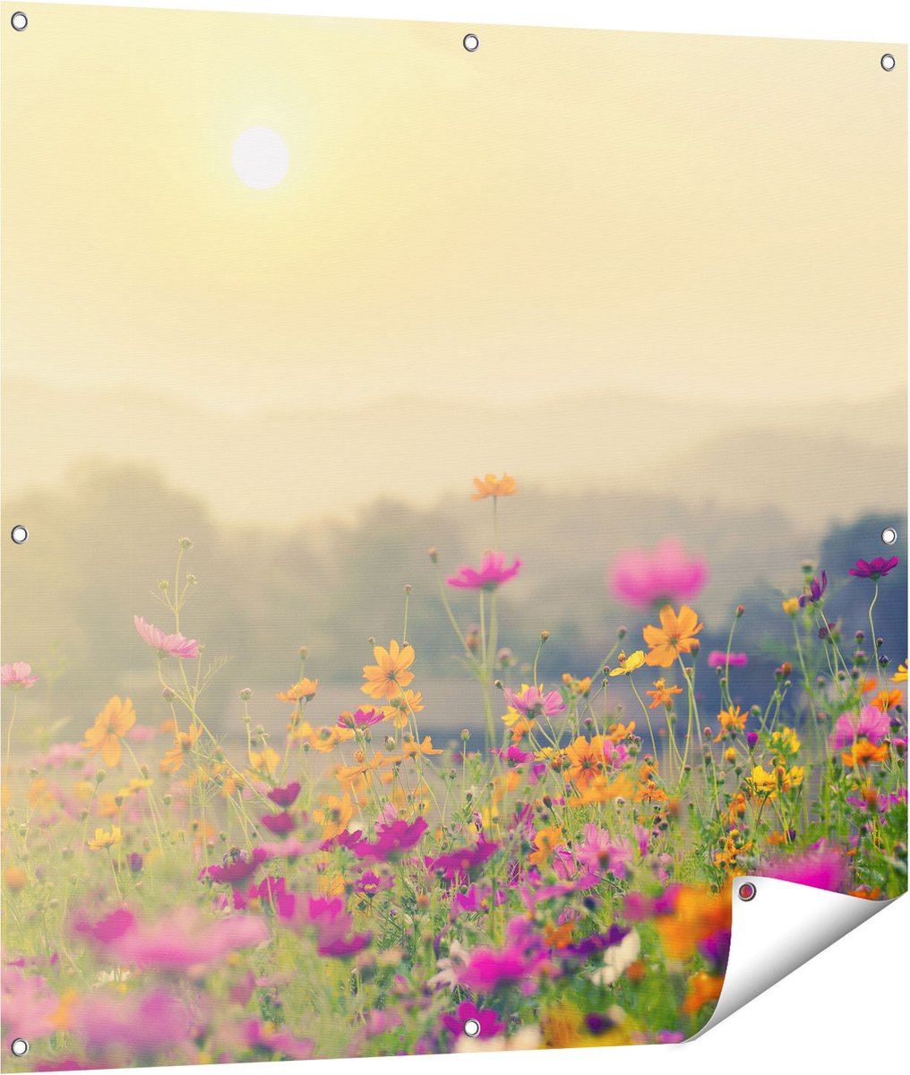 Gards Tuinposter Bloemenveld met Kosmos - Zonsondergang - 100x100 cm - Tuindoek - Tuindecoratie - Wanddecoratie buiten - Tuinschilderij Multikleur