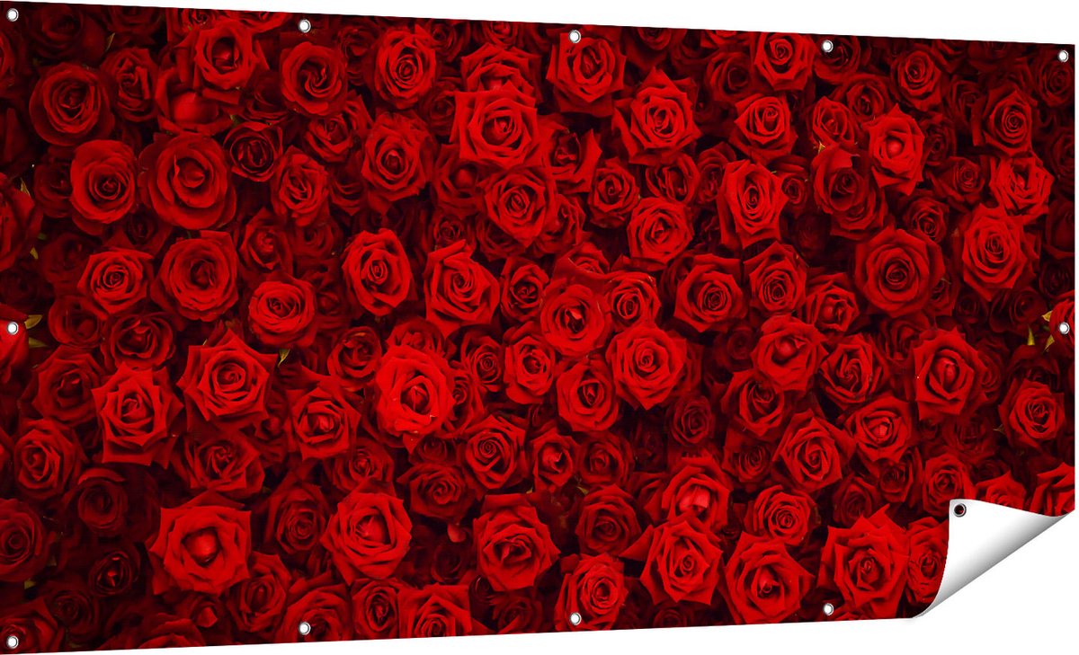 Gards Tuinposter Rode Rozen Achtergrond - 180x90 cm - Tuindoek - Tuindecoratie - Wanddecoratie buiten - Tuinschilderij Multikleur