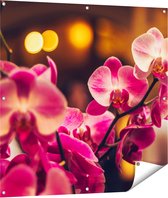 Gards Tuinposter Roze Orchidee Bloemen - 100x100 cm - Tuindoek - Tuindecoratie - Wanddecoratie buiten - Tuinschilderij