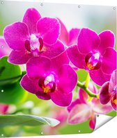 Gards Tuinposter Roze Orchidee Bloemen - 110x110 cm - Tuindoek - Tuindecoratie - Wanddecoratie buiten - Tuinschilderij