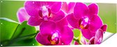 Gards Tuinposter Roze Orchidee Bloemen - 180x60 cm - Tuindoek - Tuindecoratie - Wanddecoratie buiten - Tuinschilderij