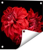 Gards Tuinposter Rode Dahlia Bloemen - 40x40 cm - Tuindoek - Tuindecoratie - Wanddecoratie buiten - Tuinschilderij