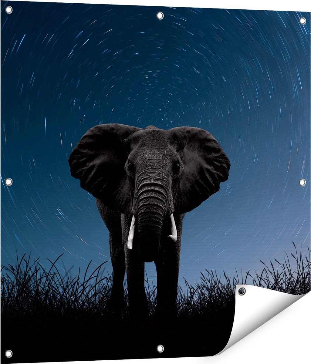 Gards Tuinposter Olifant Omringd met Sterren - 80x80 cm - Tuindoek - Tuindecoratie - Wanddecoratie buiten - Tuinschilderij Multikleur