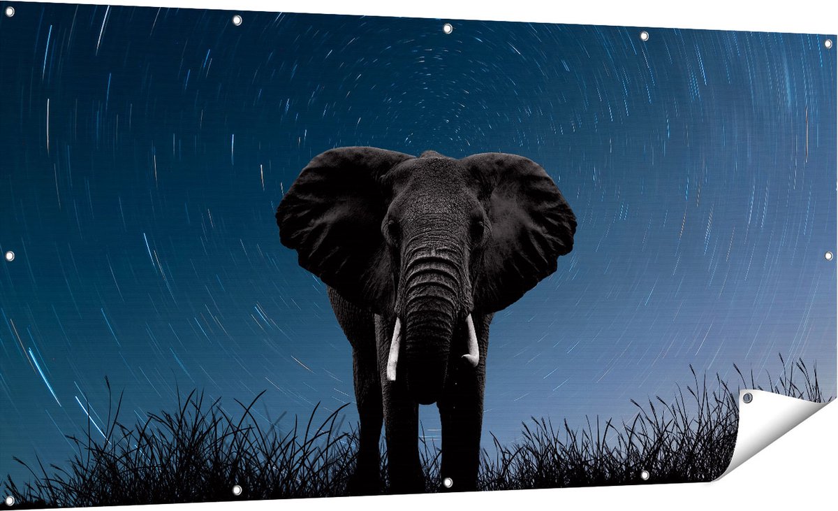 Gards Tuinposter Olifant Omringd met Sterren - 180x90 cm - Tuindoek - Tuindecoratie - Wanddecoratie buiten - Tuinschilderij Multikleur