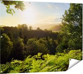 Gards Tuinposter Zonsondergang vanuit een Bos - 120x90 cm - Tuindoek - Tuindecoratie - Wanddecoratie buiten - Tuinschilderij
