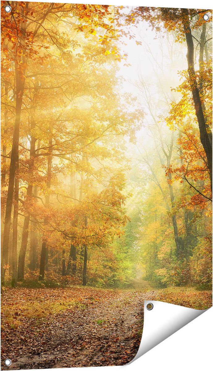 Gards Tuinposter Herfstbos met Zonneschijn - 60x90 cm - Tuindoek - Tuindecoratie - Wanddecoratie buiten - Tuinschilderij Multikleur