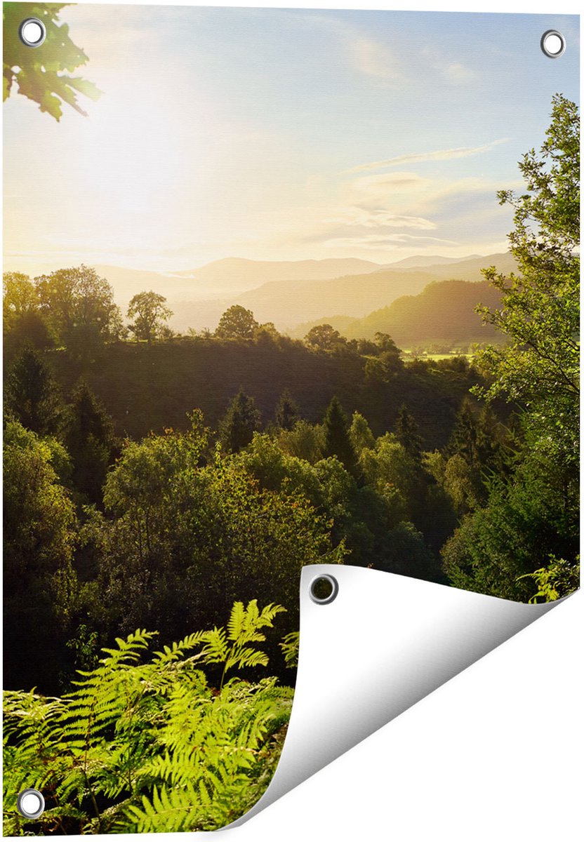 Gards Tuinposter Zonsondergang vanuit een Bos - 40x50 cm - Tuindoek - Tuindecoratie - Wanddecoratie buiten - Tuinschilderij Multikleur