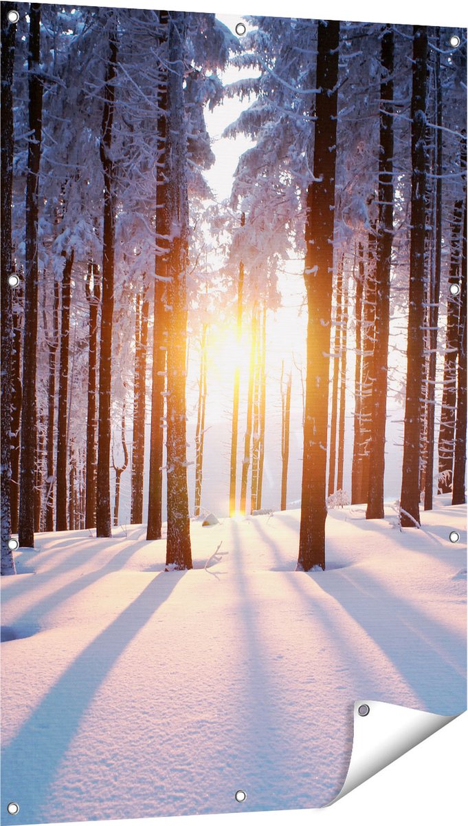 Gards Tuinposter Bos met Sneeuw tijdens de Zonsondergang - 80x120 cm - Tuindoek - Tuindecoratie - Wanddecoratie buiten - Tuinschilderij Multikleur
