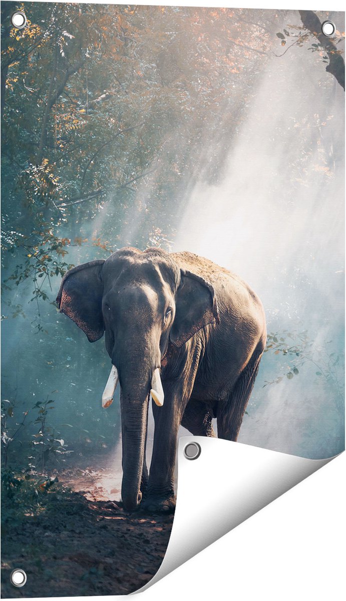 Gards Tuinposter Olifant in het Bos met Zonneschijn - 40x60 cm - Tuindoek - Tuindecoratie - Wanddecoratie buiten - Tuinschilderij Multikleur