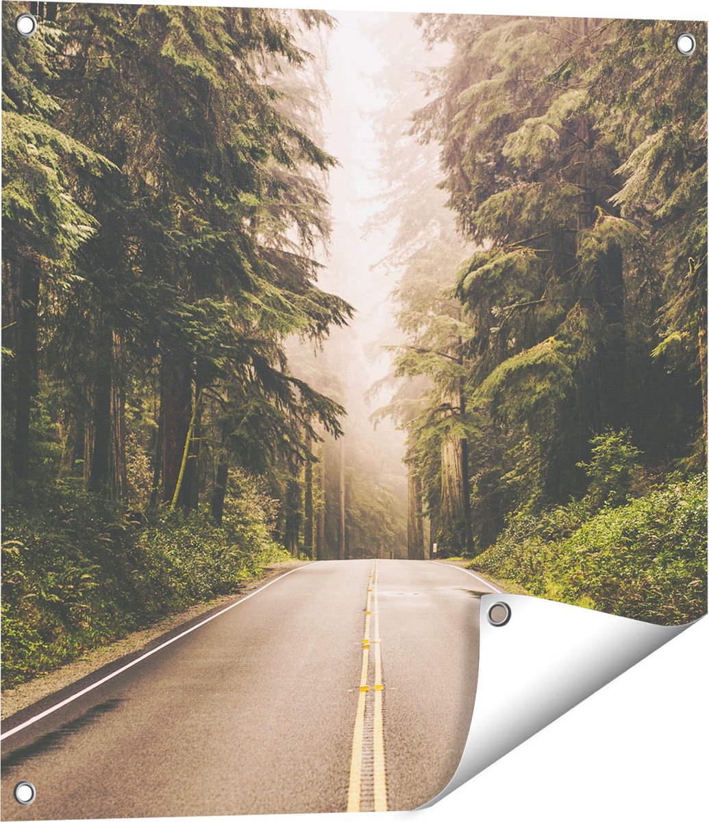 Gards Tuinposter Highway in Californië Omring met Bos - 60x60 cm - Tuindoek - Tuindecoratie - Wanddecoratie buiten - Tuinschilderij Multikleur