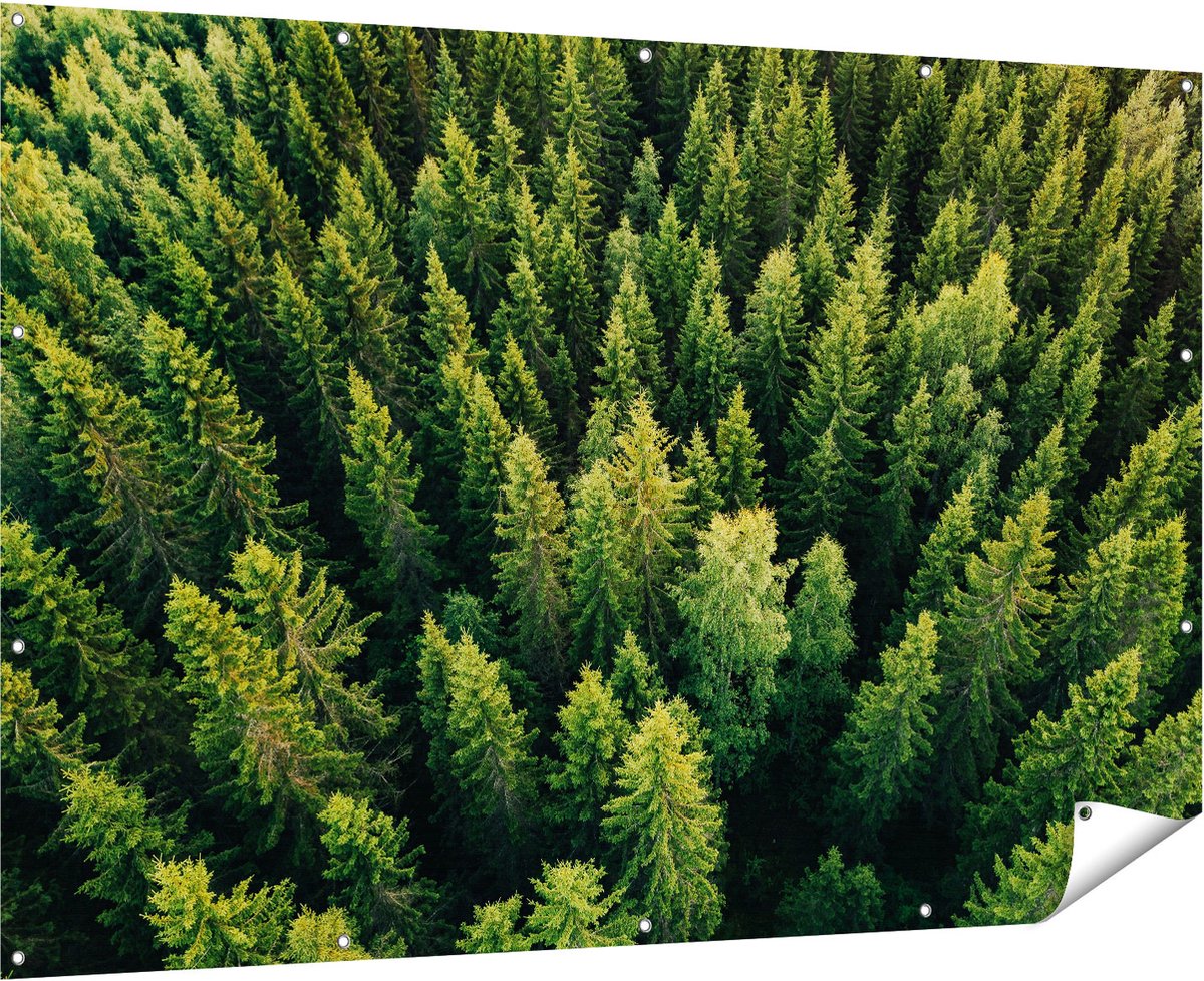 Gards Tuinposter Bos met Bomen vanaf Boven - 180x120 cm - Tuindoek - Tuindecoratie - Wanddecoratie buiten - Tuinschilderij Multikleur