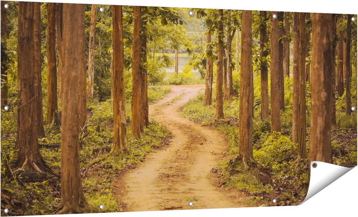 Gards Tuinposter Pad in het Bos met Bomen - 160x80 cm - Tuindoek - Tuindecoratie - Wanddecoratie buiten - Tuinschilderij Multikleur