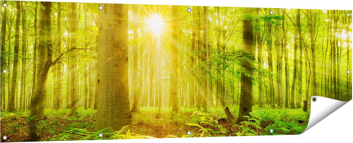 Gards Tuinposter Groen Bos met Schijnende Zonnestralen - 180x60 cm - Tuindoek - Tuindecoratie - Wanddecoratie buiten - Tuinschilderij Multikleur