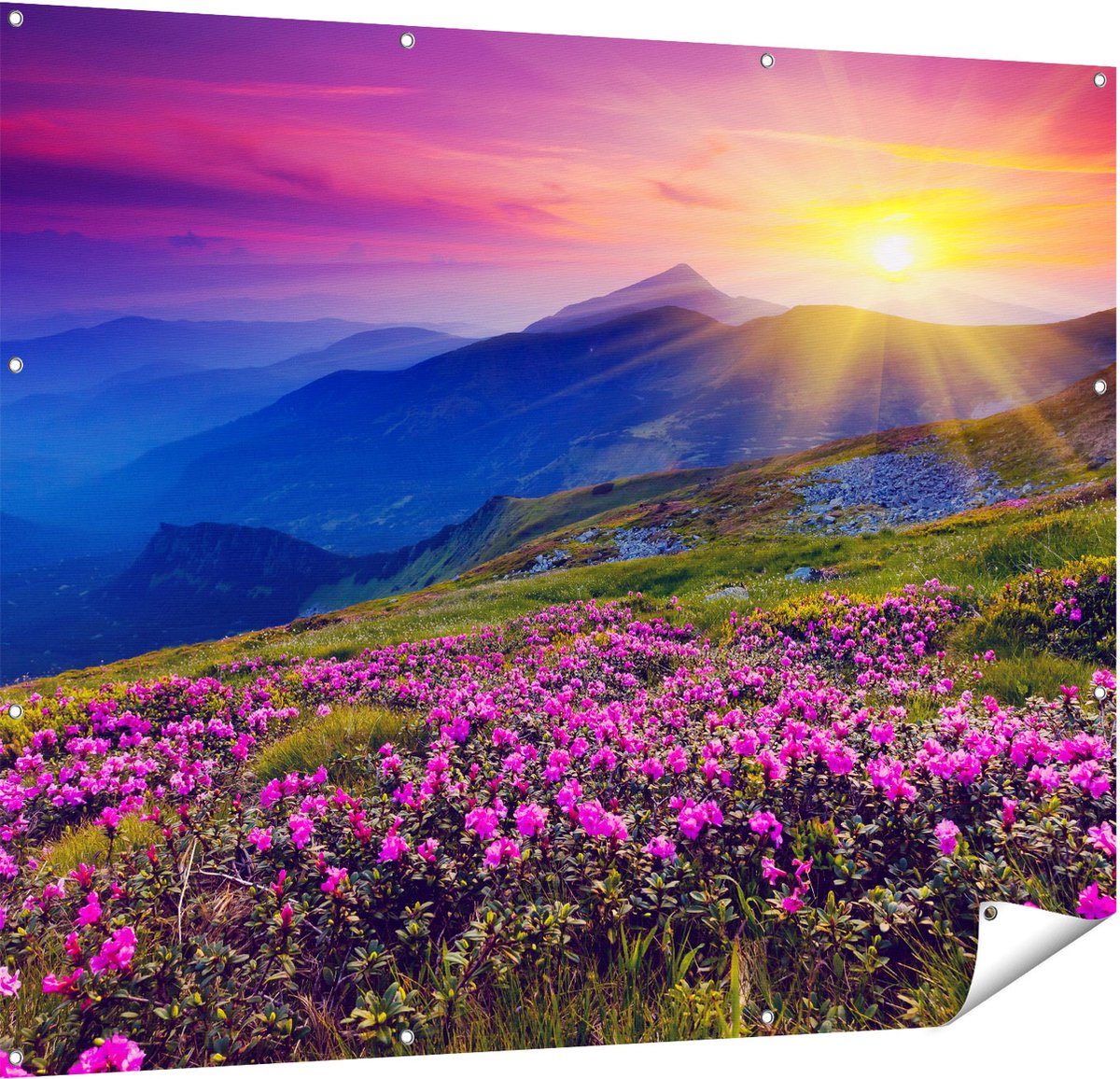Gards Tuinposter Roze Rhododendron Bloemenveld - Bergen - 150x120 cm - Tuindoek - Tuindecoratie - Wanddecoratie buiten - Tuinschilderij Multikleur