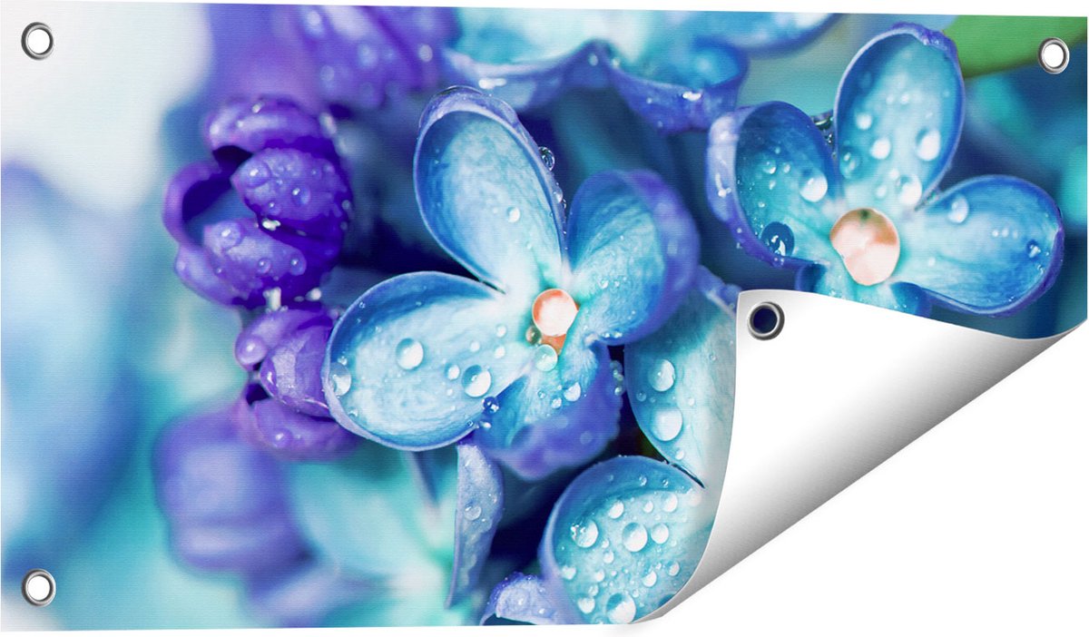 Gards Tuinposter Blauwe Lila Bloemen - Seringen - 60x30 cm - Tuindoek - Tuindecoratie - Wanddecoratie buiten - Tuinschilderij Multikleur