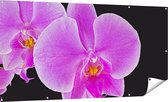 Gards Tuinposter Licht Paarse Orchidee - Bloem - 180x90 cm - Tuindoek - Tuindecoratie - Wanddecoratie buiten - Tuinschilderij