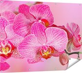 Gards Tuinposter Roze Orchidee Bloemen - 120x90 cm - Tuindoek - Tuindecoratie - Wanddecoratie buiten - Tuinschilderij