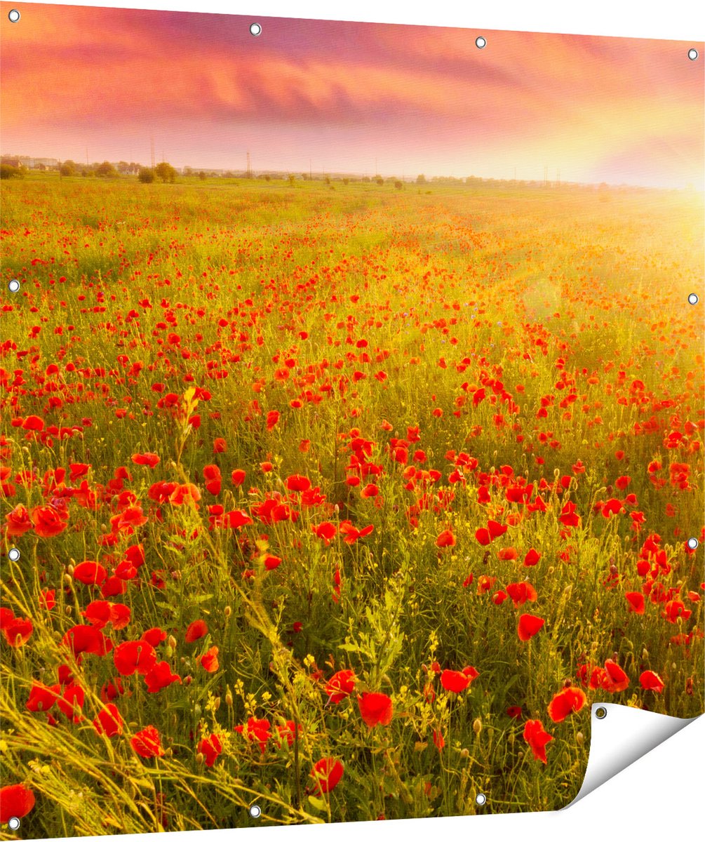 Gards Tuinposter Rode Klaproos Bloemenveld - Zonsondergang - 120x120 cm - Tuindoek - Tuindecoratie - Wanddecoratie buiten - Tuinschilderij Multikleur