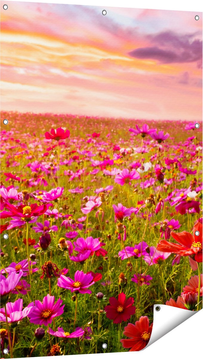 Gards Tuinposter Kleurrijke Kosmos Bloemenveld - 80x120 cm - Tuindoek - Tuindecoratie - Wanddecoratie buiten - Tuinschilderij Multikleur