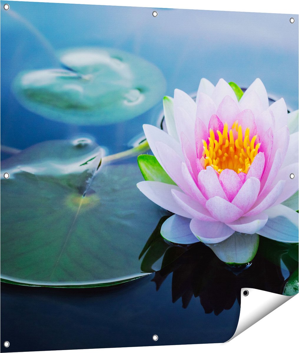 Gards Tuinposter Roze Lotusbloem met Waterlelies - 100x100 cm - Tuindoek - Tuindecoratie - Wanddecoratie buiten - Tuinschilderij Multikleur