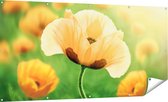 Gards Tuinposter Oranje Klaproos Bloemen - 180x90 cm - Tuindoek - Tuindecoratie - Wanddecoratie buiten - Tuinschilderij