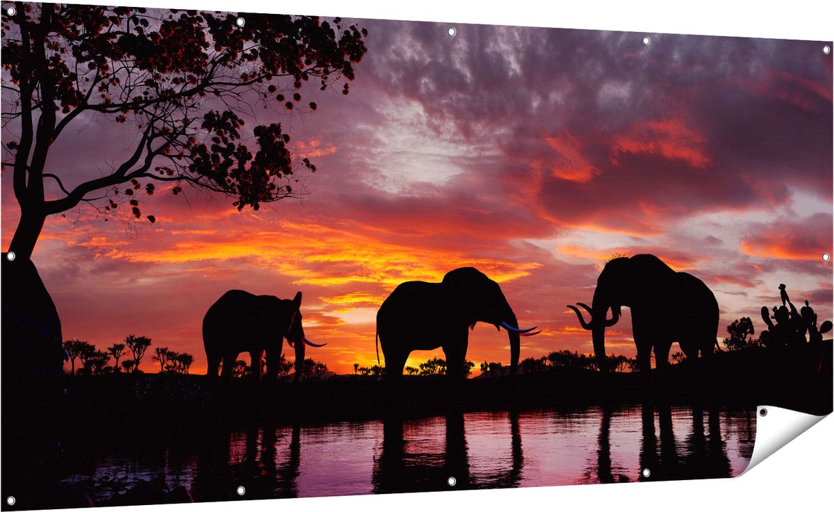 Gards Tuinposter Olifanten tijdens Zonsondergang - Silhouet - 200x100 cm - Tuindoek - Tuindecoratie - Wanddecoratie buiten - Tuinschilderij Multikleur