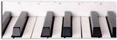 Dibond - Close-up van Notenbladen bij Toetsen van Piano - 60x20 cm Foto op Aluminium (Wanddecoratie van metaal)
