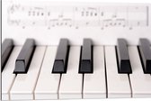 Dibond - Close-up van Notenbladen bij Toetsen van Piano - 90x60 cm Foto op Aluminium (Wanddecoratie van metaal)