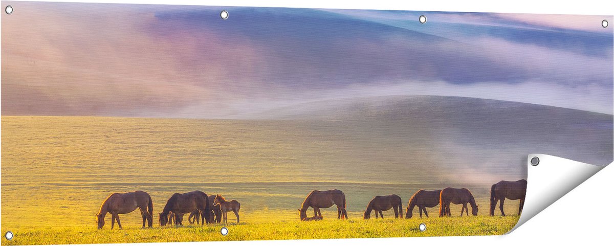 Gards Tuinposter Kudde Wilde Paarden in de Wei bij Heuvels - 150x50 cm - Tuindoek - Tuindecoratie - Wanddecoratie buiten - Tuinschilderij Multikleur