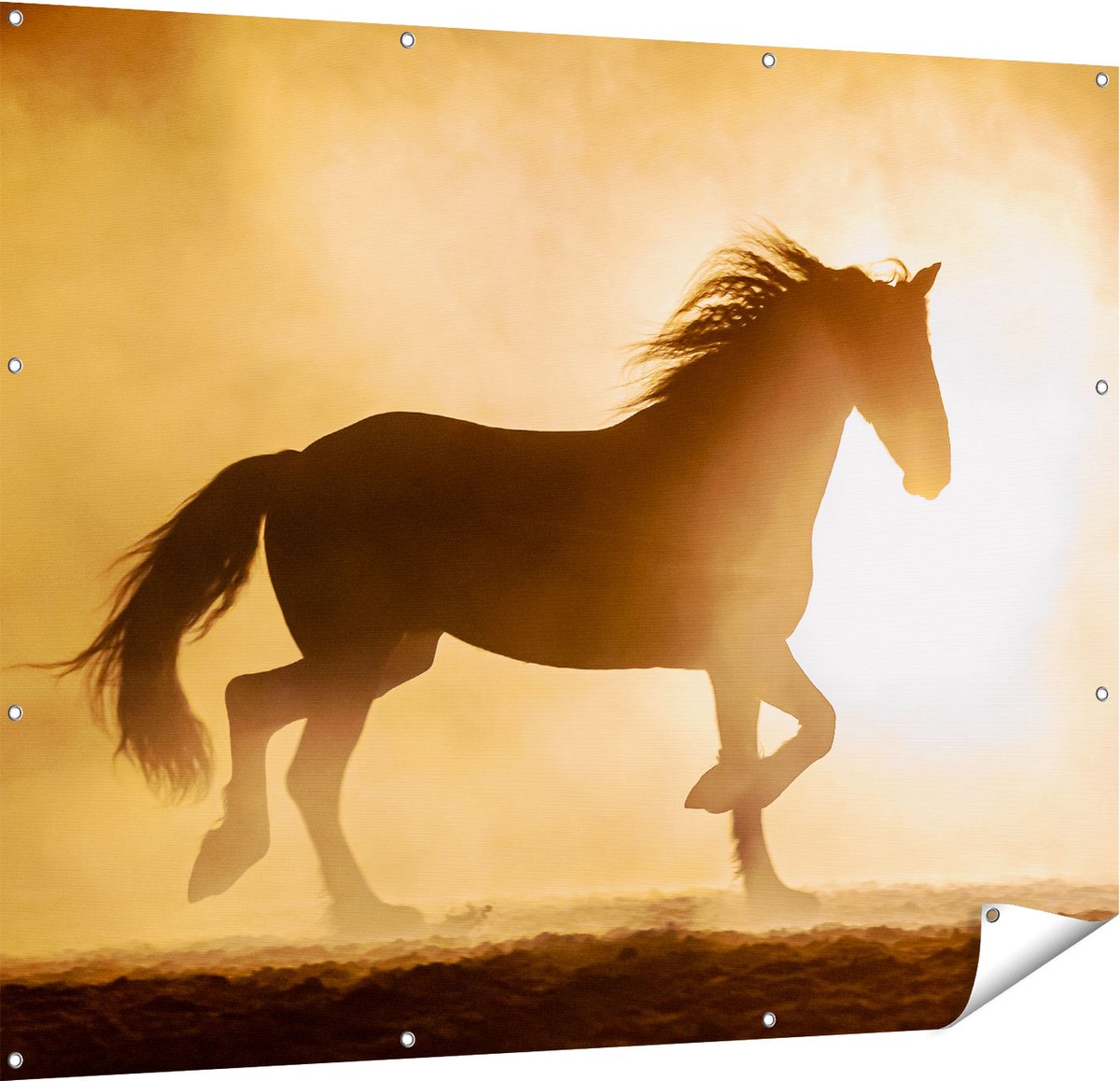 Gards Tuinposter Silhouet van een Paard - 150x120 cm - Tuindoek - Tuindecoratie - Wanddecoratie buiten - Tuinschilderij Multikleur