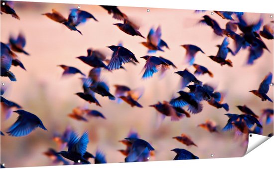 Gards Tuinposter Groep Vliegende Blauwe Spreeuw Vogels - 200x100 cm - Tuindoek - Tuindecoratie - Wanddecoratie buiten - Tuinschilderij