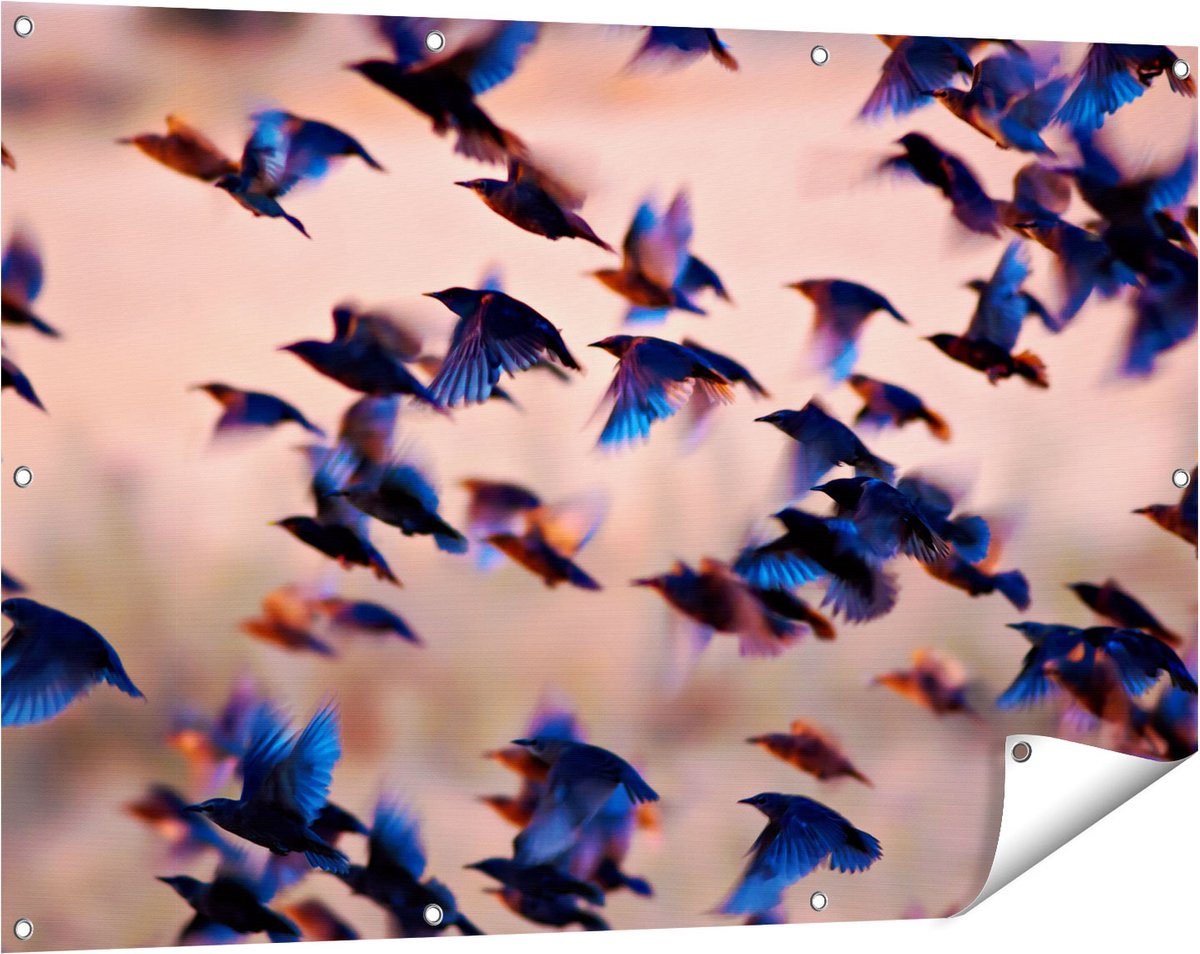 Gards Tuinposter Groep Vliegende Blauwe Spreeuw Vogels - 120x80 cm - Tuindoek - Tuindecoratie - Wanddecoratie buiten - Tuinschilderij Multikleur