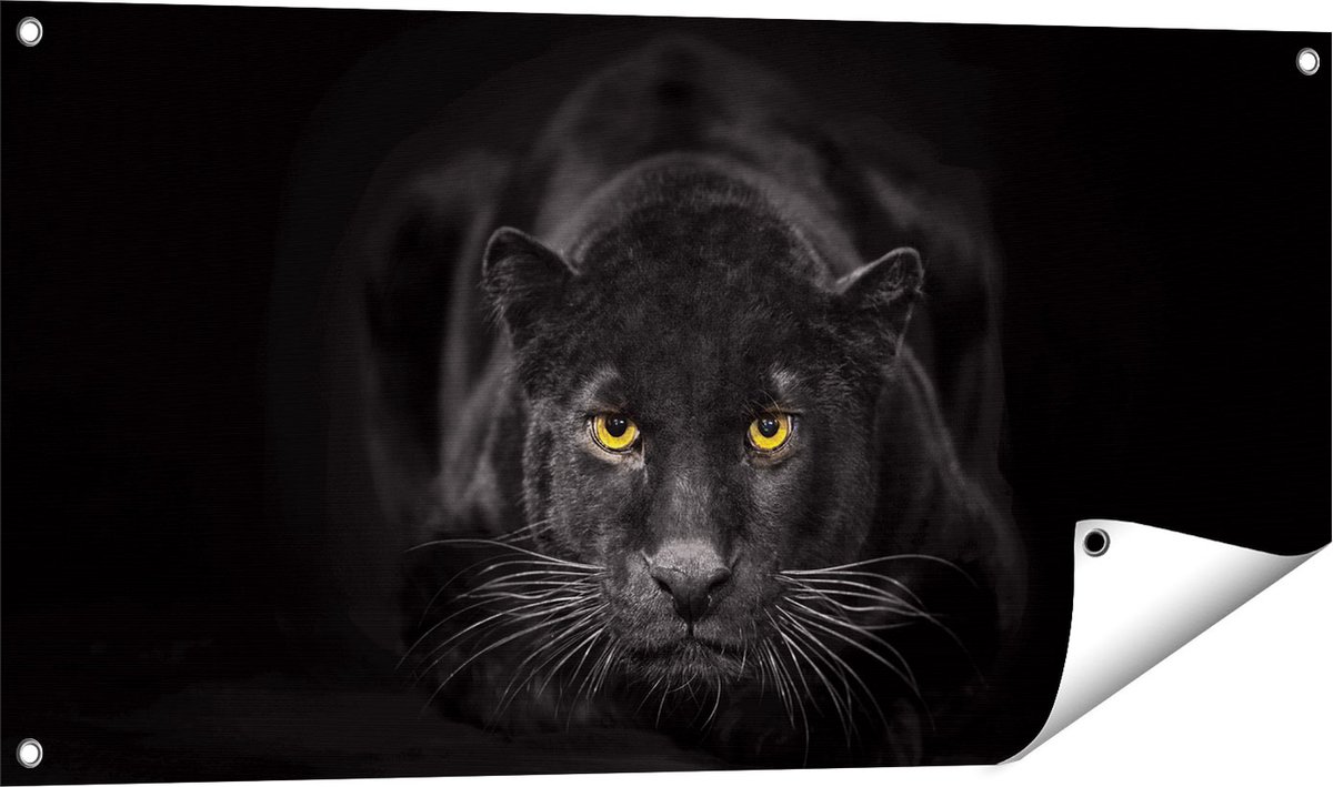 Gards Tuinposter Zwarte Panter met Oranje Ogen - 100x50 cm - Tuindoek - Tuindecoratie - Wanddecoratie buiten - Tuinschilderij Multikleur