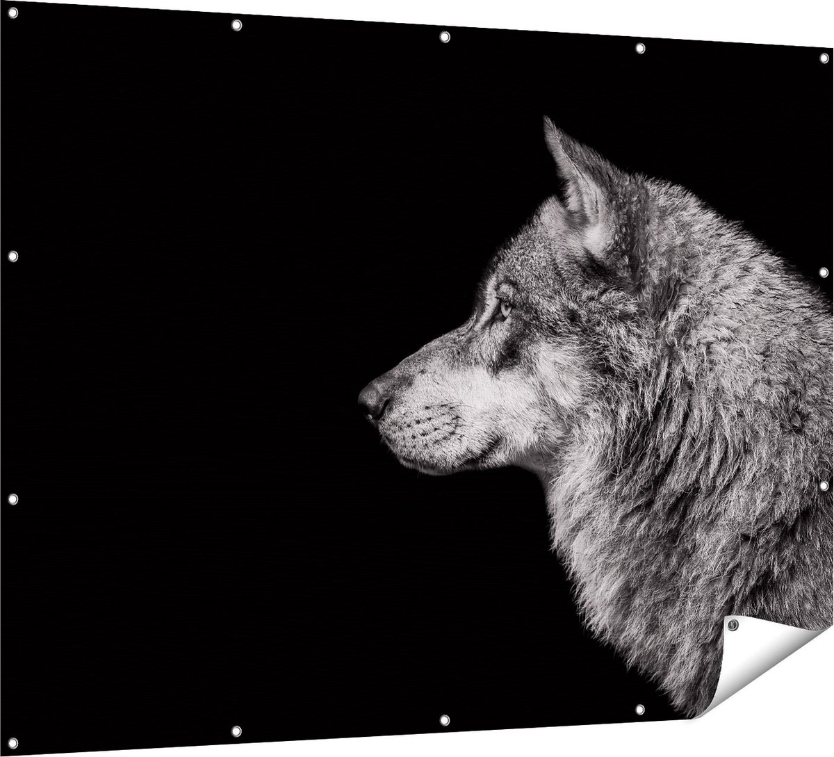 Gards Tuinposter Wolvenkop - Wolf - Zwart Wit - 160x120 cm - Tuindoek - Tuindecoratie - Wanddecoratie buiten - Tuinschilderij Multikleur