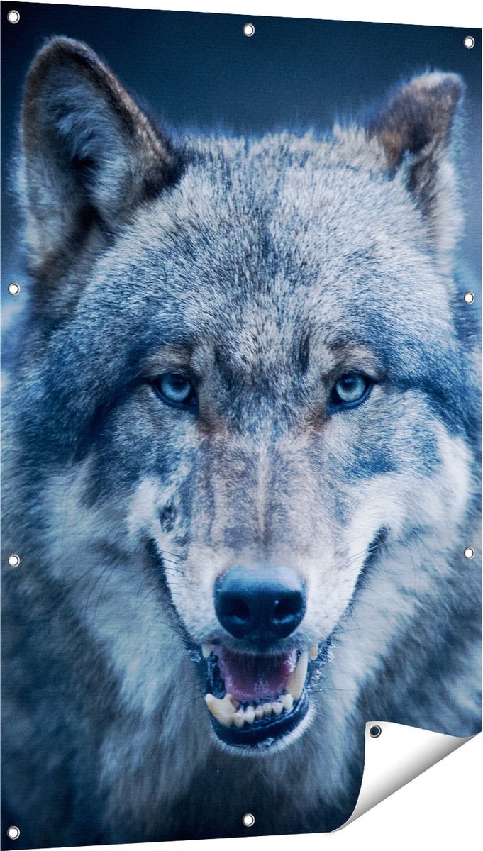 Gards Tuinposter Wolvenkop met Blauwe Ogen - Wolf - 80x120 cm - Tuindoek - Tuindecoratie - Wanddecoratie buiten - Tuinschilderij Multikleur