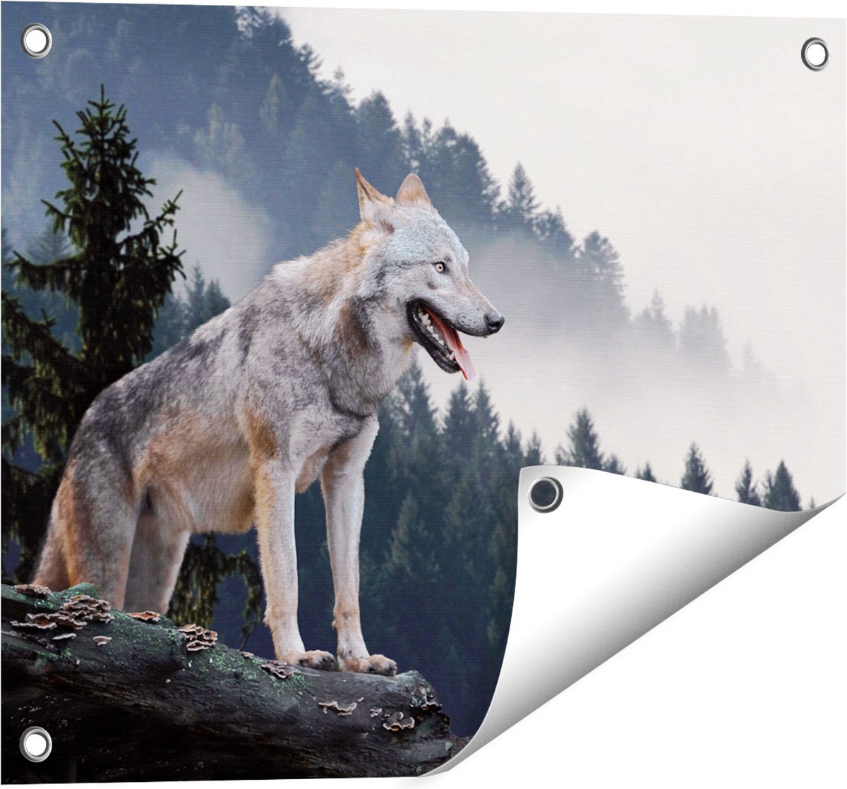 Gards Tuinposter Grijze Wolf in de Bossen - 50x40 cm - Tuindoek - Tuindecoratie - Wanddecoratie buiten - Tuinschilderij Multikleur