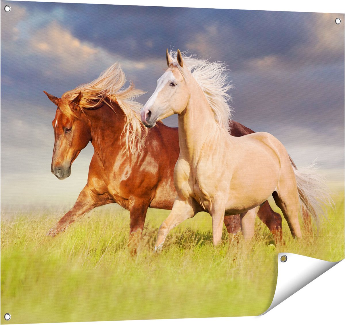 Gards Tuinposter Bruin en Wit Paard in de Wei - 100x80 cm - Tuindoek - Tuindecoratie - Wanddecoratie buiten - Tuinschilderij Multikleur