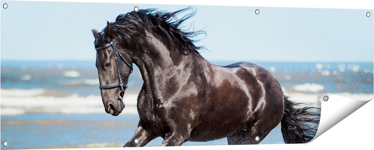 Gards Tuinposter Zwart Paard in het Water - 150x50 cm - Tuindoek - Tuindecoratie - Wanddecoratie buiten - Tuinschilderij Multikleur