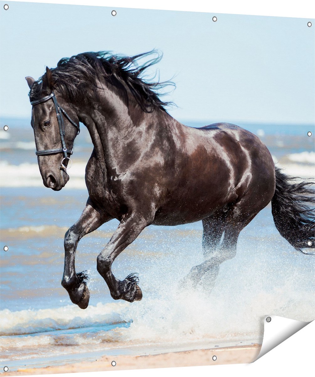 Gards Tuinposter Zwart Paard in het Water - 120x120 cm - Tuindoek - Tuindecoratie - Wanddecoratie buiten - Tuinschilderij Multikleur