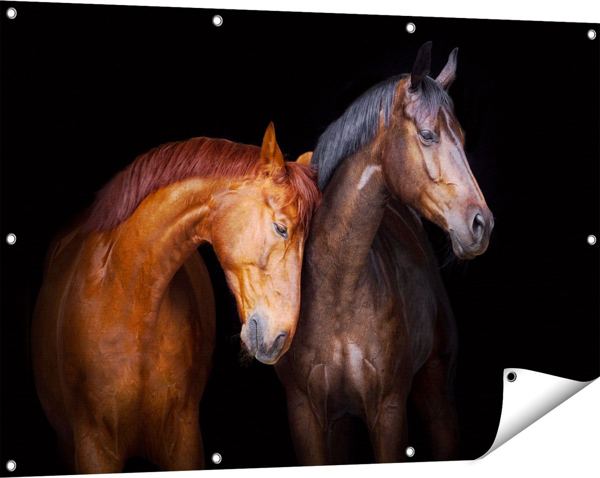 Gards Tuinposter Twee Bruine Paarden Koppel - Liefde - 120x80 cm - Tuindoek - Tuindecoratie - Wanddecoratie buiten - Tuinschilderij Multikleur