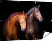Gards Tuinposter Twee Bruine Paarden Koppel - Liefde - 120x80 cm - Tuindoek - Tuindecoratie - Wanddecoratie buiten - Tuinschilderij