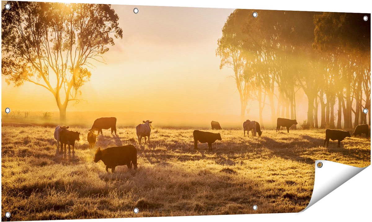 Gards Tuinposter Kudde Koeien in de Wei met Zonsopkomst - 140x70 cm - Tuindoek - Tuindecoratie - Wanddecoratie buiten - Tuinschilderij Multikleur