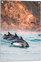 Tuinposter – Drie Synchroon Zwemmende Dolfijnen in de Zee - 50x75 cm Foto op Tuinposter (wanddecoratie voor buiten en binnen)