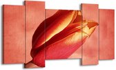 GroepArt - Schilderij - Tulp - Rood, Oranje, Geel - 120x65 5Luik - Foto Op Canvas - GroepArt 6000+ Schilderijen 0p Canvas Art Collectie - Wanddecoratie