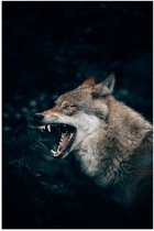 Poster (Mat) - Angstaanjagende Wolf met Scherpe Tanden in Donker Bos - 60x90 cm Foto op Posterpapier met een Matte look