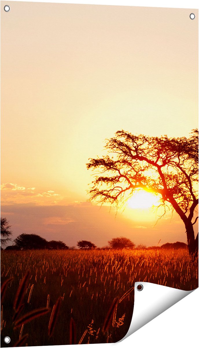Gards Tuinposter Zonsondergang Achter een Acacia Boom - 60x90 cm - Tuindoek - Tuindecoratie - Wanddecoratie buiten - Tuinschilderij Multikleur